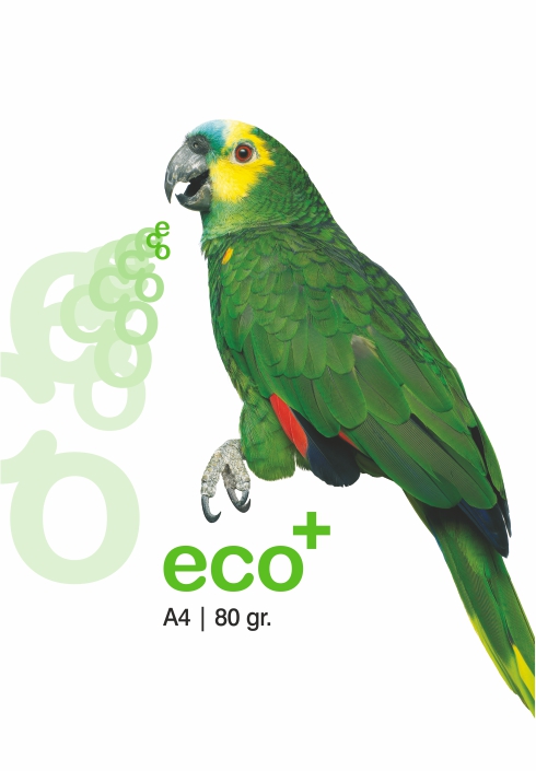 Eco+ Paper