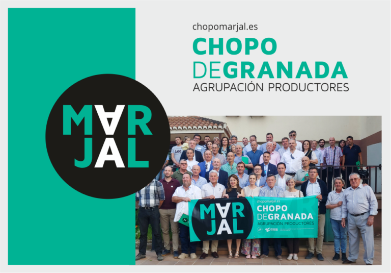 CHOPO DE GRANADA