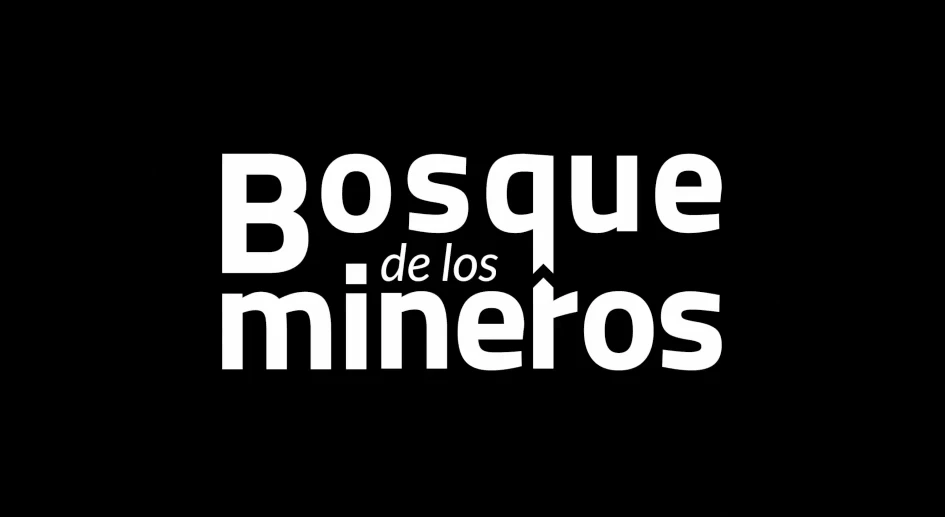 fondo video