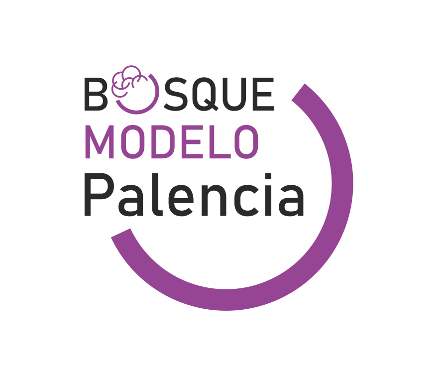 BM Palencia 00