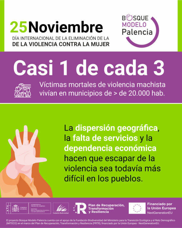 BM Palencia 06