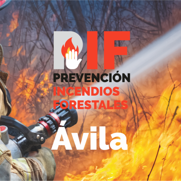 PIF Diputación de Ávila