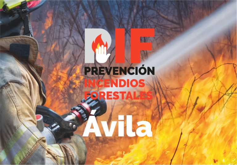 PIF Diputación de Ávila