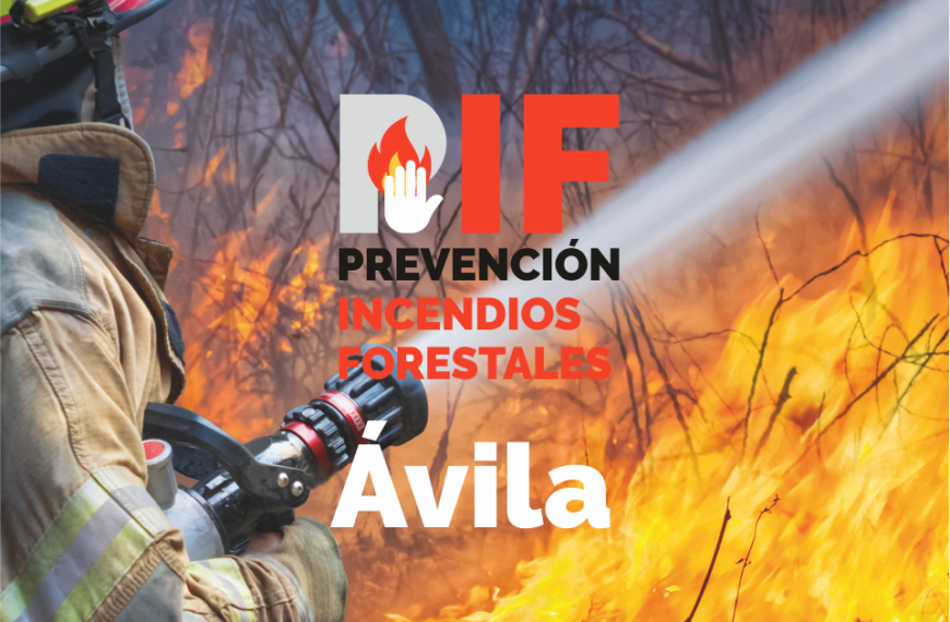 PIF Diputación de Ávila