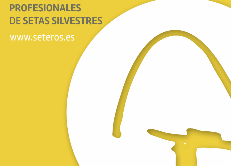 Asociación de Seteros Profesionales