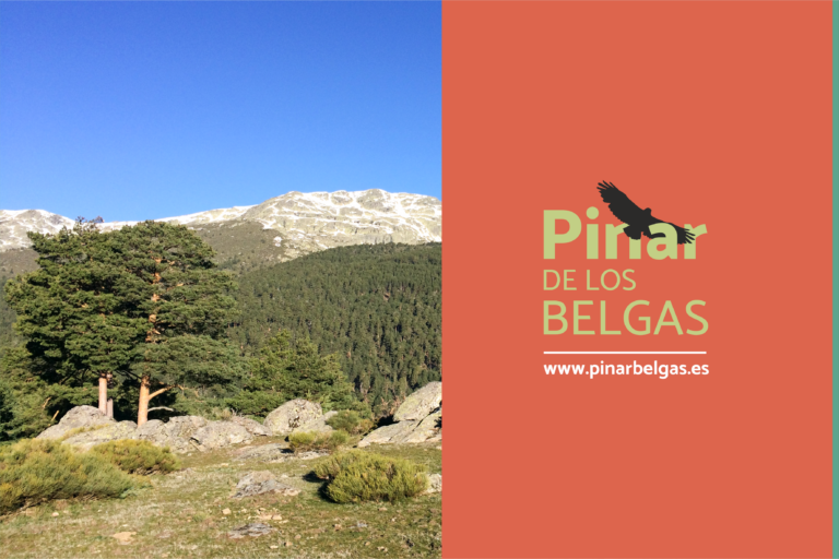 Pinar de los Belgas