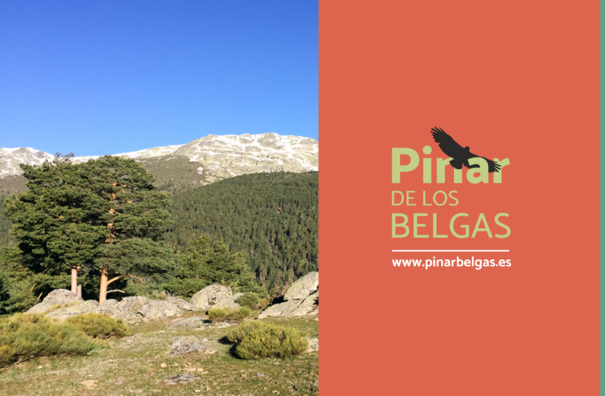 Pinar de los Belgas