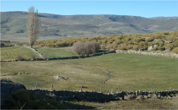 Gestión integral del territorio - Medidas para el desarrollo de los usos silvopastorales
