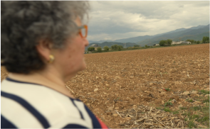 Banco de Tierras de El Bierzo