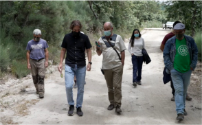 Recuperación del castañar de Hoyos