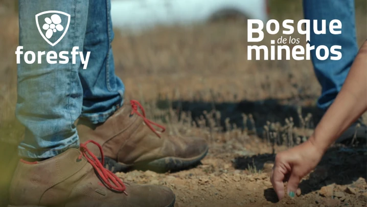 El bosque de los mineros | Foresfy